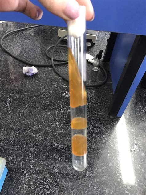 tsi e coli|e coli tsi slant.